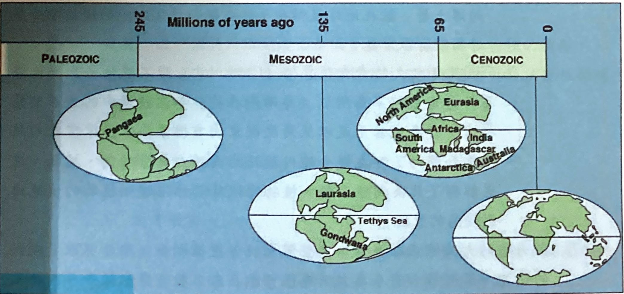 9H8fJfbe4uLQIAAAAAElFTkSuQmCC