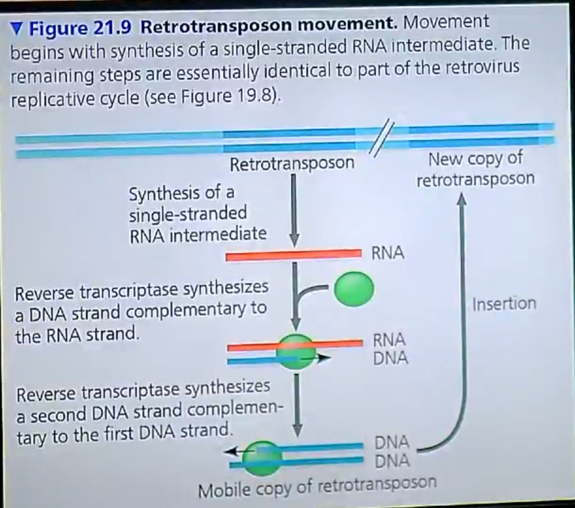wP2cnECBLYfwAAAAABJRU5ErkJggg==