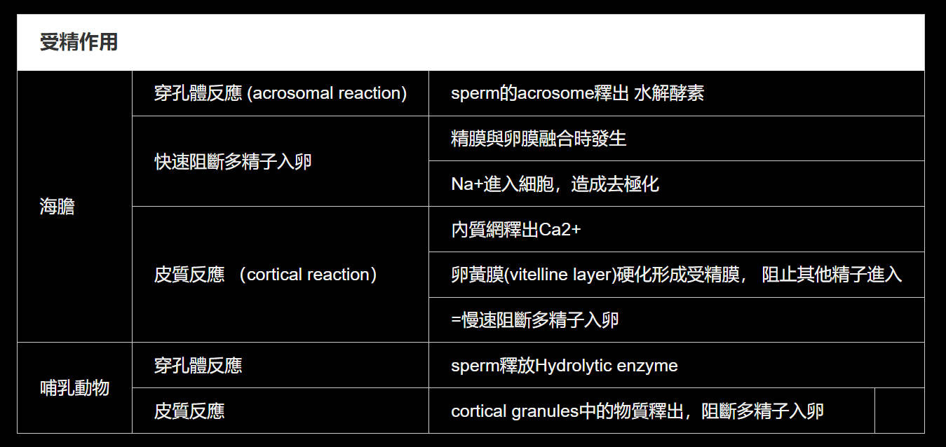 w21JoMWgGYs9QAAAABJRU5ErkJggg==