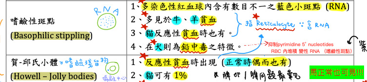 7PgfHT+X1cpHg7kAAAAASUVORK5CYII=