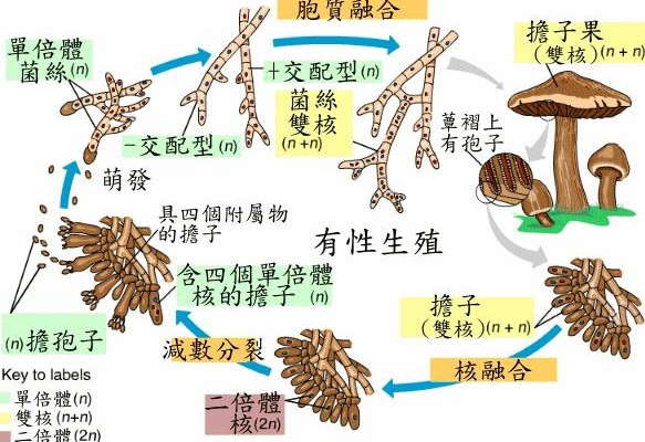 05fd757449f98dbfda1864.png#s-583,400