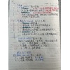 智力理論