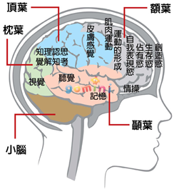 2201bb7afe73402e16a775.png#s-244,265