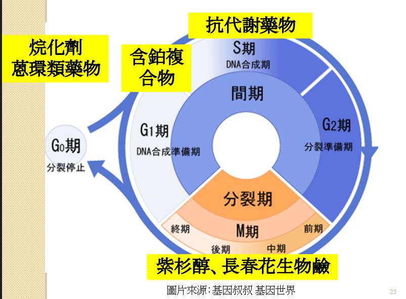 5bb82c9026753.png#s-803,593