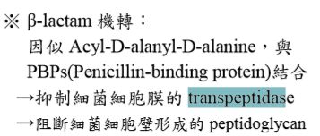 5bf2a6c747820.jpg#s-357,152