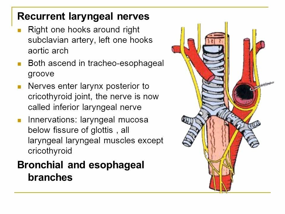 5c047f89961f8.jpg#s-960,720