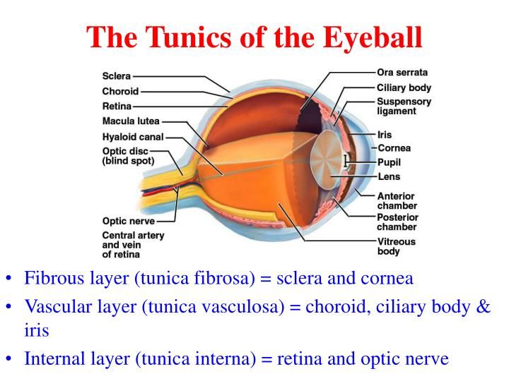 5c04ab21d9d4d.jpg#s-720,540