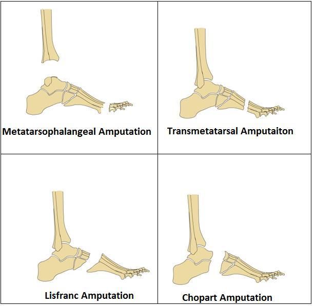 5c08cd15aa50d.jpg#s-614,597