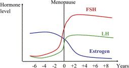 5c0b6de3ebb68.jpg#s-255,135