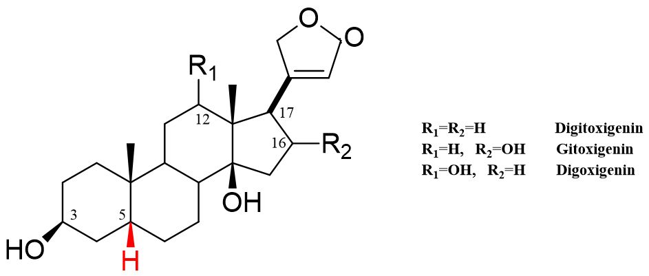 5c120df33bdd7.jpg#s-943,401