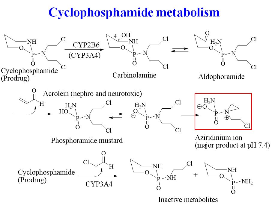 5c146933e472a.jpg#s-907,685