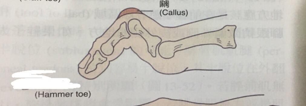 5c1946397fa44.jpg#s-1011,350