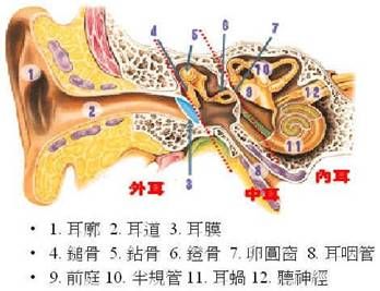 5c199b3731cb8.jpg#s-348,267