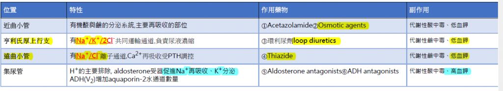 5c1b0c2e2e991.jpg#s-1024,186