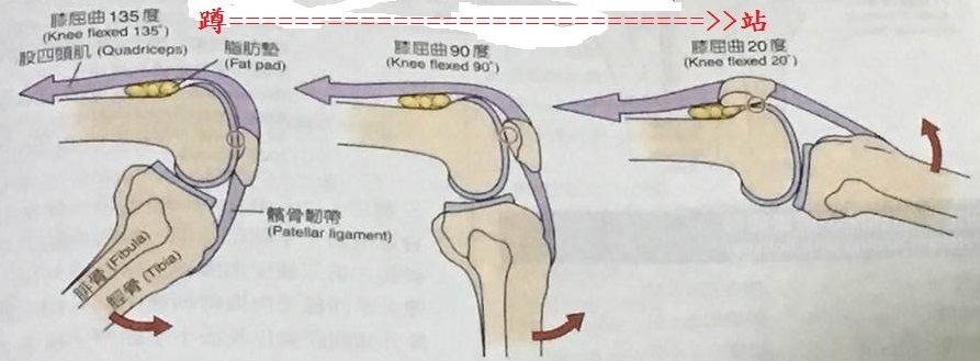 5c1d260299c5f.jpg#s-893,329