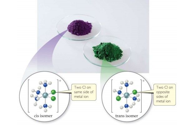 5c1efce26b579.jpg#s-606,422