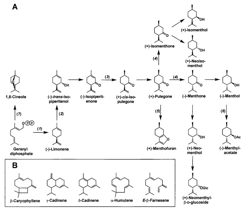 5c26e43149998.jpg#s-850,735