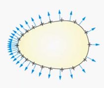 5c277c4563d06.jpg#s-210,178