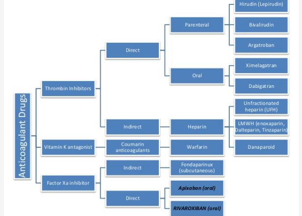 5c29bb69c25b2.jpg#s-615,440