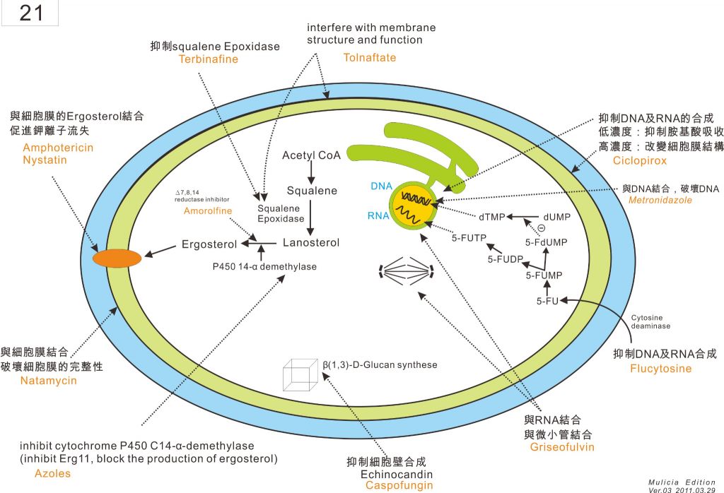 5c31d344d2bbb.jpg#s-1024,698