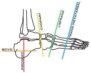 5c3366afaf59f.jpg#s-318,258