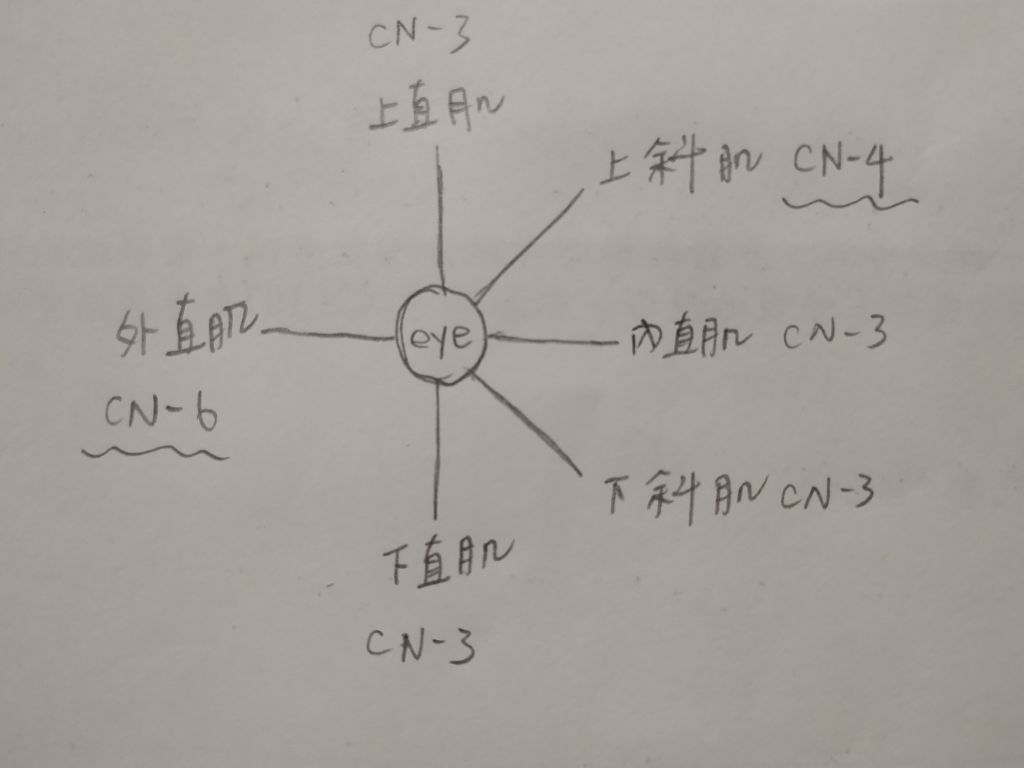 5c3ac734e162c.jpg#s-1024,768