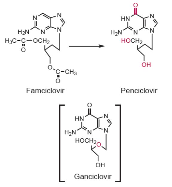 5c3ae4dd52c58.jpg#s-576,627
