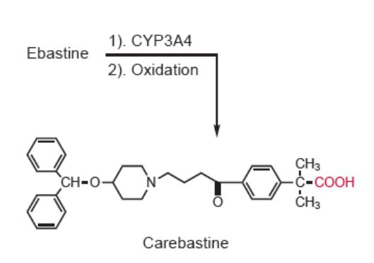5c3af6790458e.jpg#s-529,373