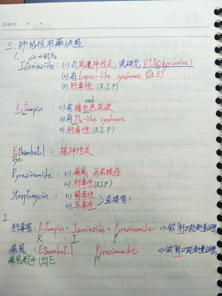 5c3c490b8b545.jpg#s-768,1024