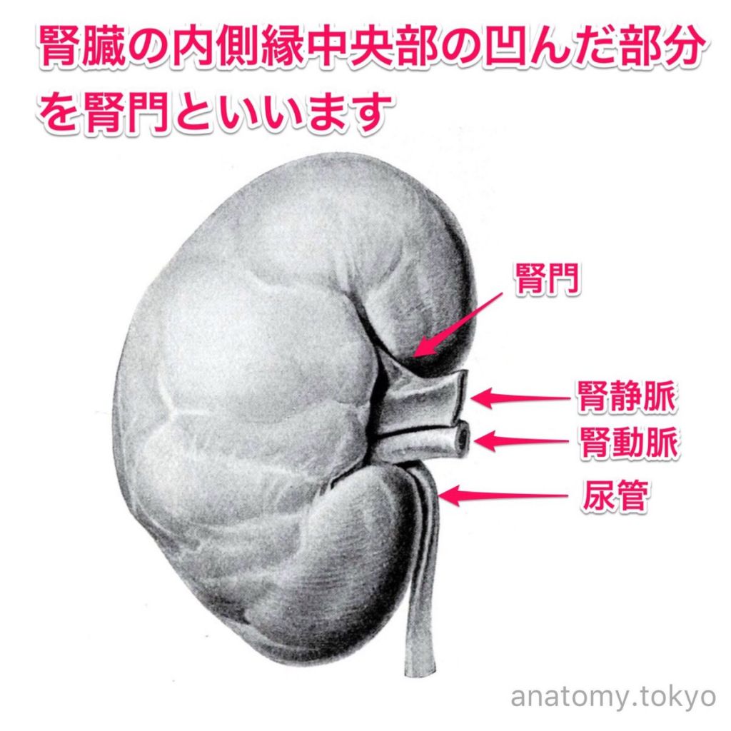 5c3fd2455e1c2.jpg