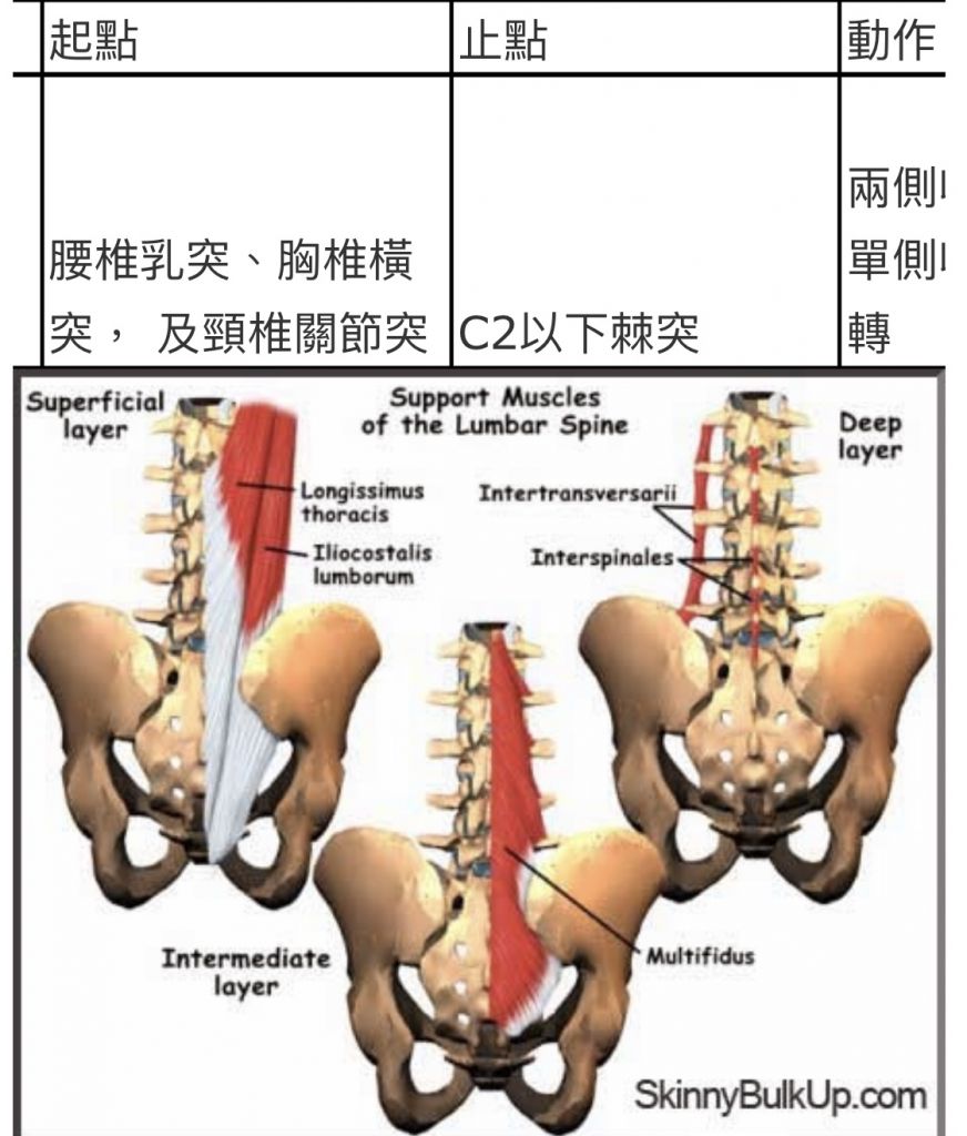 5c4021952fdc4.jpg#s-872,1024
