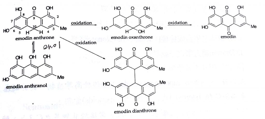 5c4565ba6fc74.jpg#s-1024,459