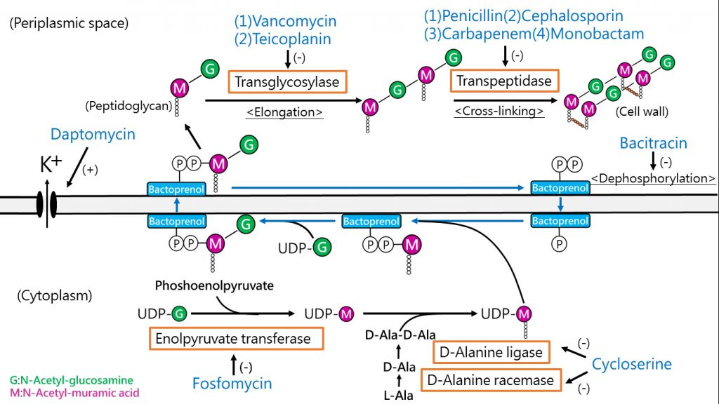 5c4668b7ea7fa.jpg#s-1024,576