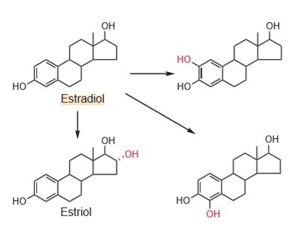 5c4eb7bf1207b.jpg#s-422,320