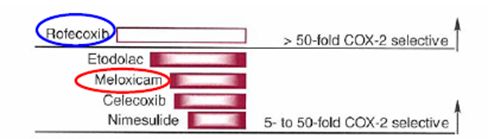 5c4ed32e8d5f4.jpg#s-488,139