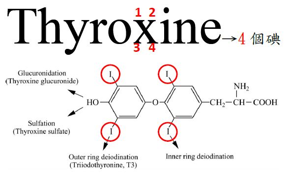 5c5458cd1e836.jpg#s-586,362