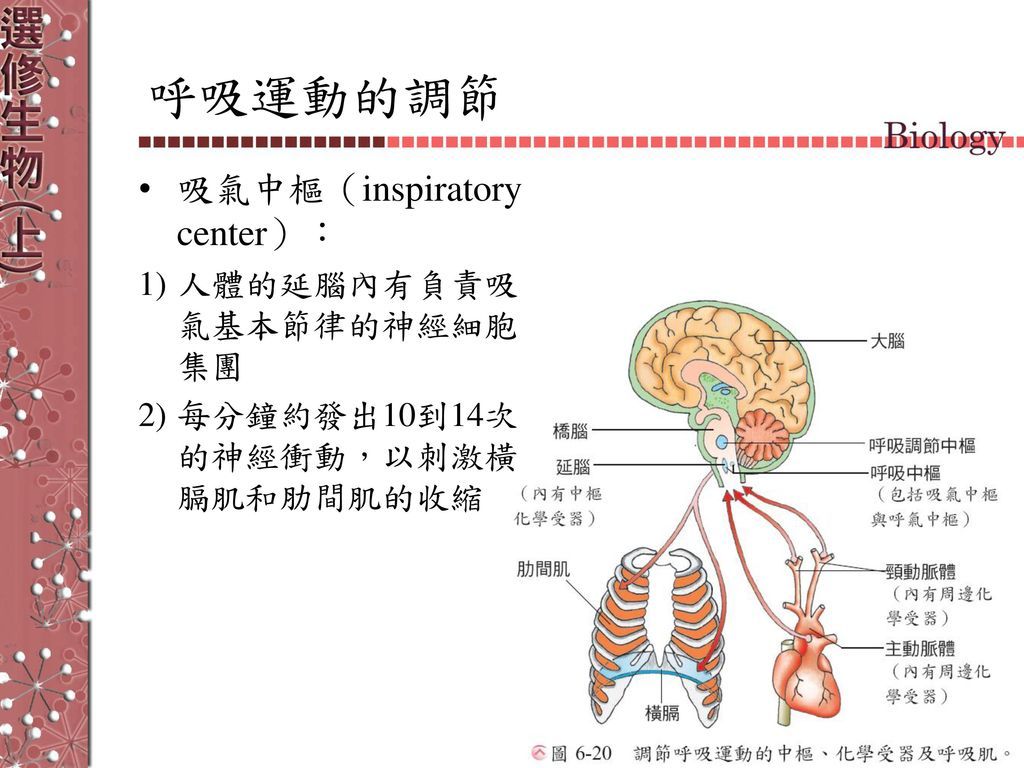 5c6a10c13a1ef.jpg#s-1024,768