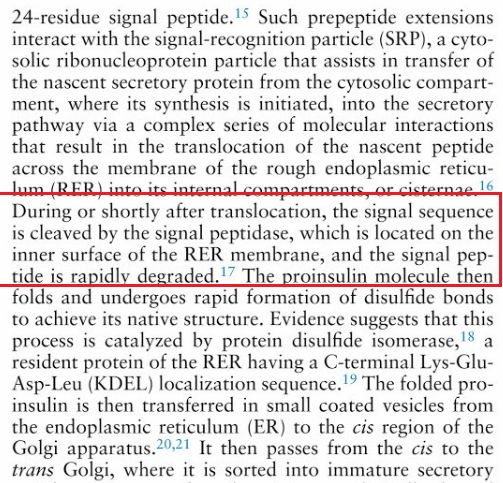 5c9b9658b84c7.jpg#s-503,483