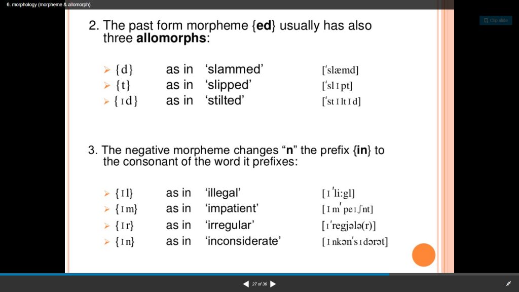 5ca867fa77e8e.jpg#s-1024,576