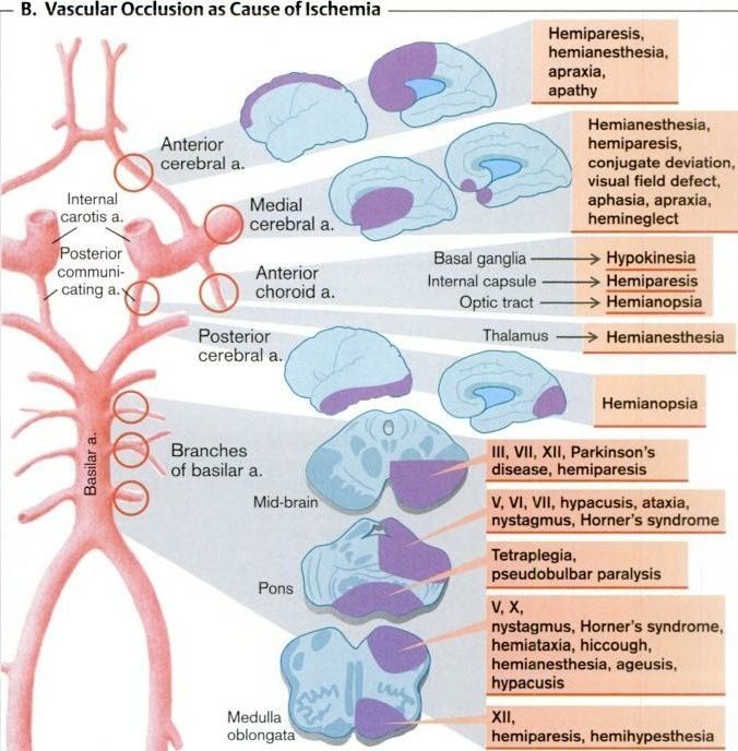 5ccec9c4d0799.jpg#s-676,688