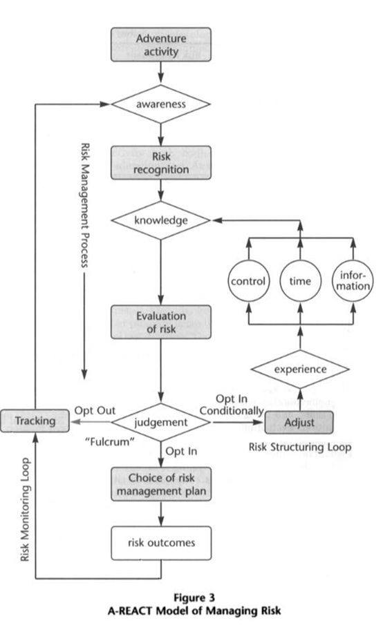 5cde2dc77a0b4.jpg#s-554,905