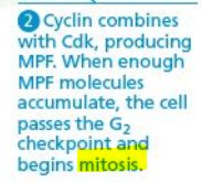 5cde72661961b.jpg#s-183,166