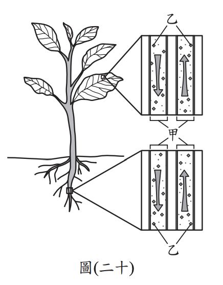 5ce16cc0e104a.jpg