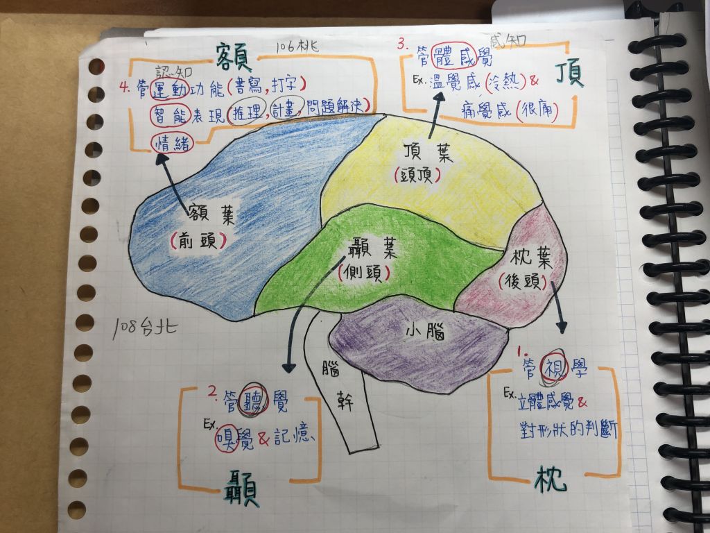 5ce4fe6e46213.jpg#s-1024,768