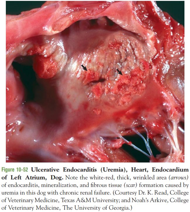 5cf27664c44c3.jpg#s-650,728