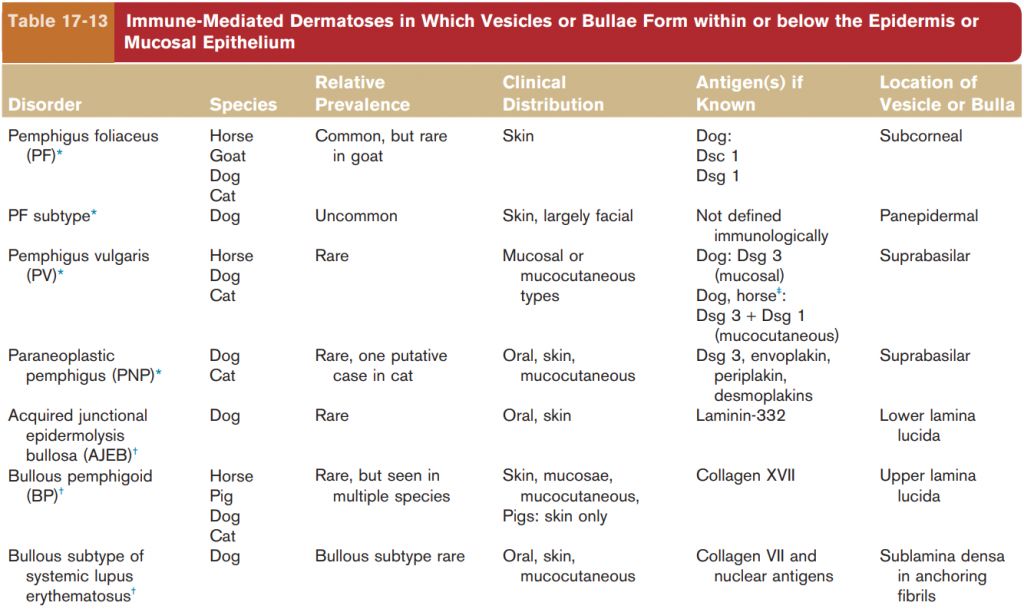 5cf279d68e521.jpg#s-1024,609