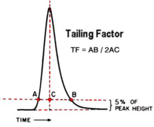 5cf472226d08e.jpg#s-300,248