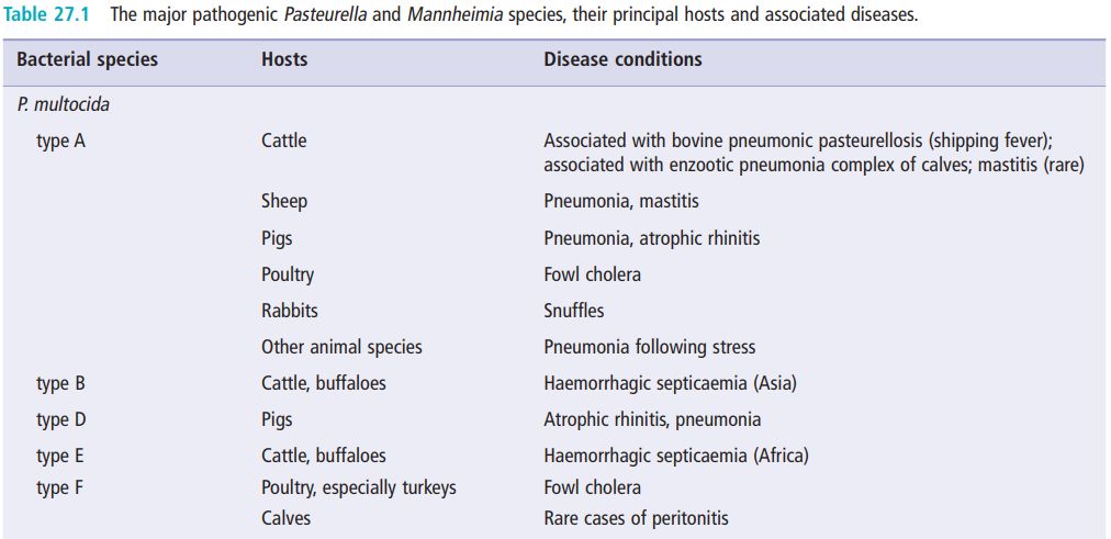 5cf65a1307e0e.jpg#s-1012,491