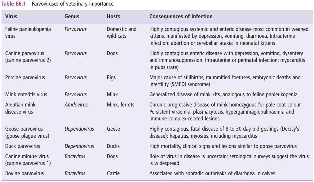5cf65ec9e4bb2.jpg#s-1013,588