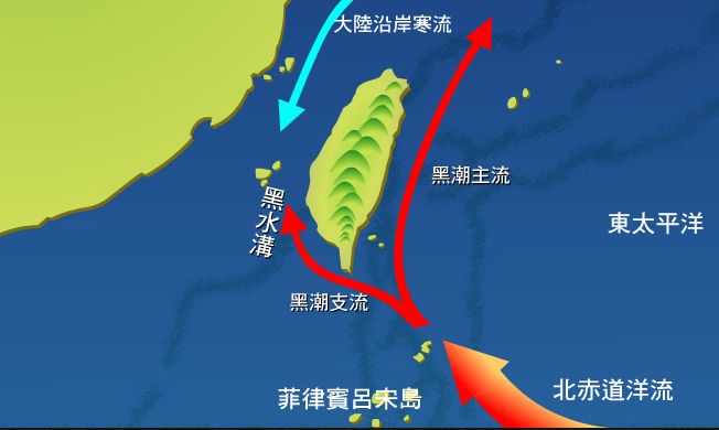 5cf8d365978f4.jpg#s-652,390